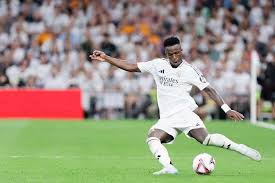 早期阶段一 早期阶段一