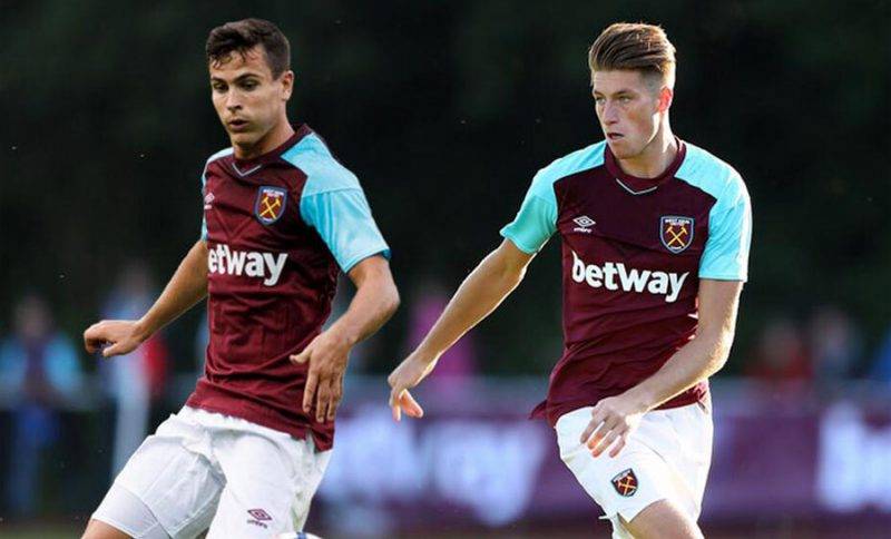 主场击败芝 主场击败芝